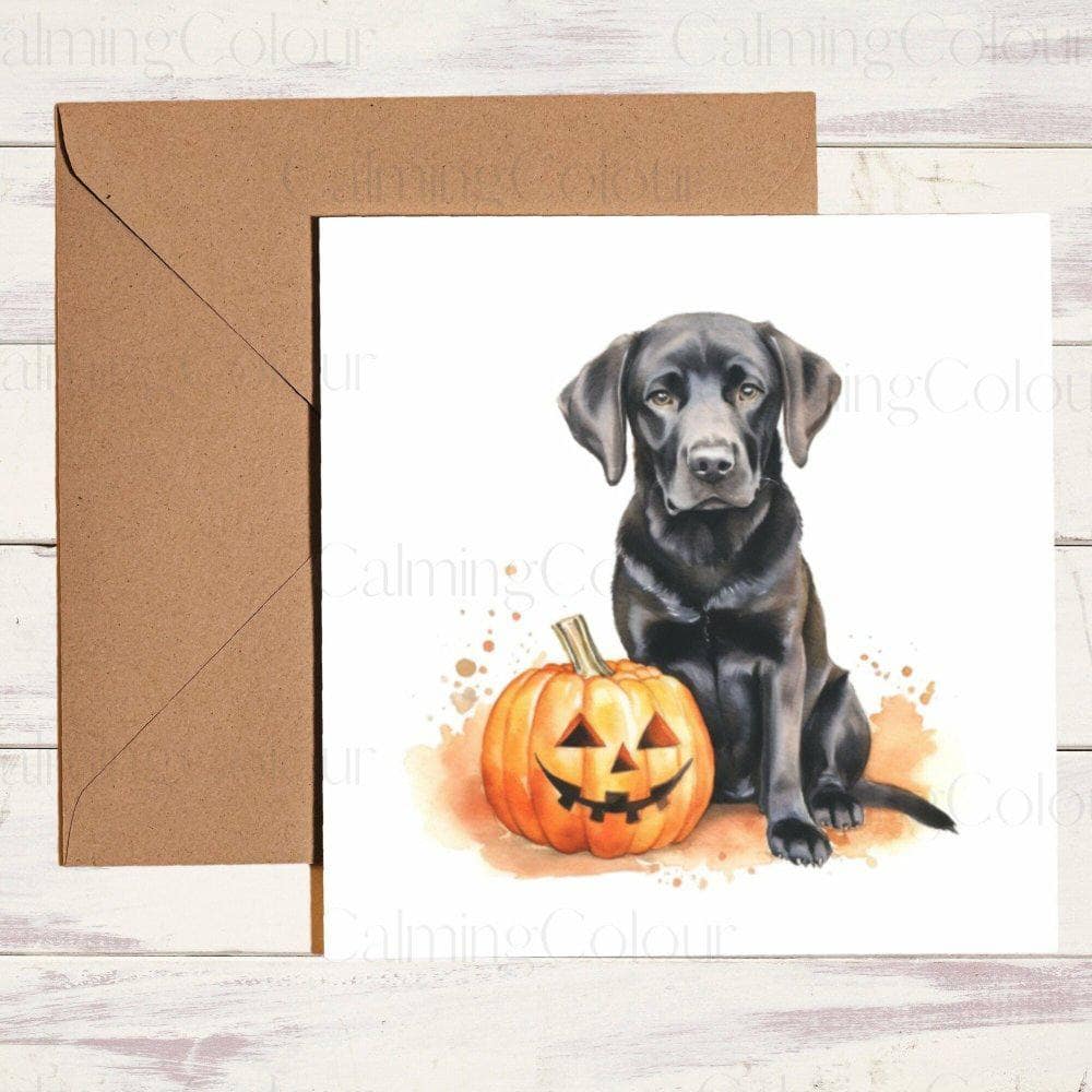 Black Labrador with Halloween Pumpkin | Birthday Card – Halloween & Autumn Cards | Calming Colour