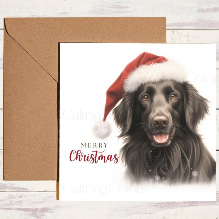 Flat-Coated Retriever - Calming Colour