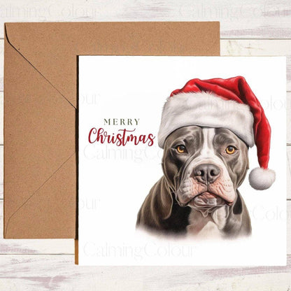 American Staffordshire Terrier with Red Santa Hat | Christmas Card | Calming Colour