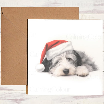 Bearded Collie Snoozing at Christmas | Festive Card | Christmas Card