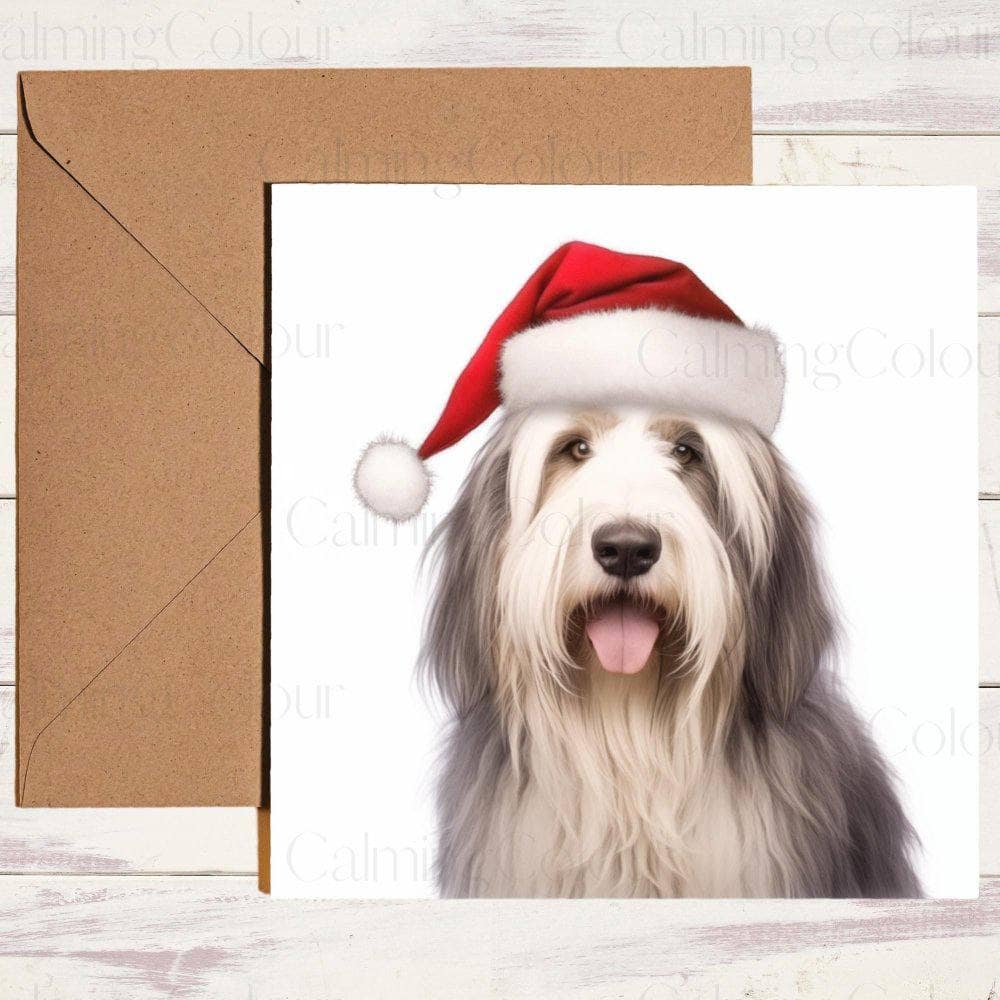 Bearded Collie wearing a Red Santa Hat | Christmas Card | Calming Colour