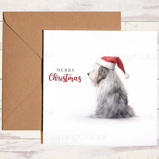 Bearded Collie wearing a Red Santa Hat | Christmas Card | Calming Colour