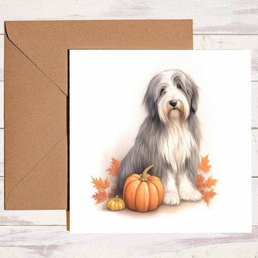 Bearded Collie with a Pumpkin | Birthday Card | Halloween | Calming Colour