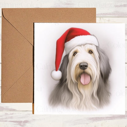 Bearded Collie with a Santa Hat | Christmas Card | Christmas Card