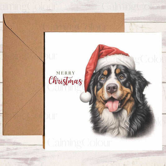 Bernese Mountain Dog Smiling with Red Santa Hat | Christmas Card | Calming Colour