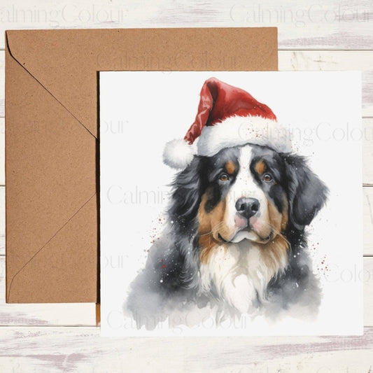 Bernese Mountain Dog wearing Red Santa Hat | Christmas Card | Christmas Card