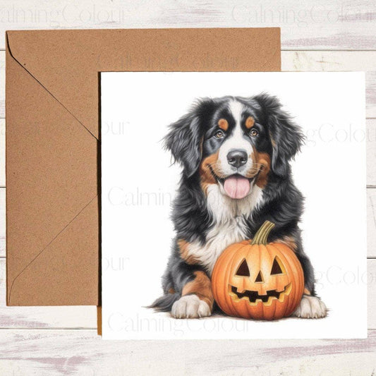 Bernese Mountain Dog with a Smiling Pumpkin | Birthday Card | Birthday Card