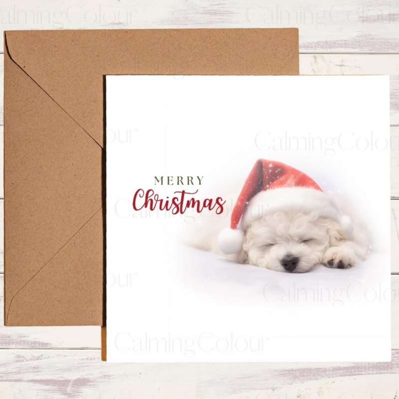 Bichon Frise Sleeping Sweetly | Christmas Card | Christmas Card