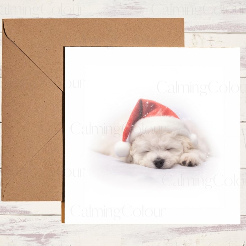 Bichon Frise Sleeping Sweetly | Christmas Card | Christmas Card