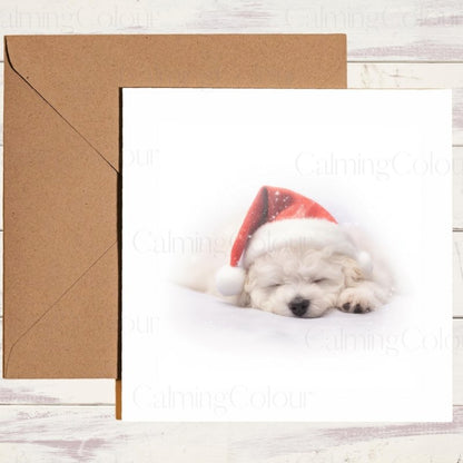 Bichon Frise Sleeping Sweetly | Christmas Card | Christmas Card