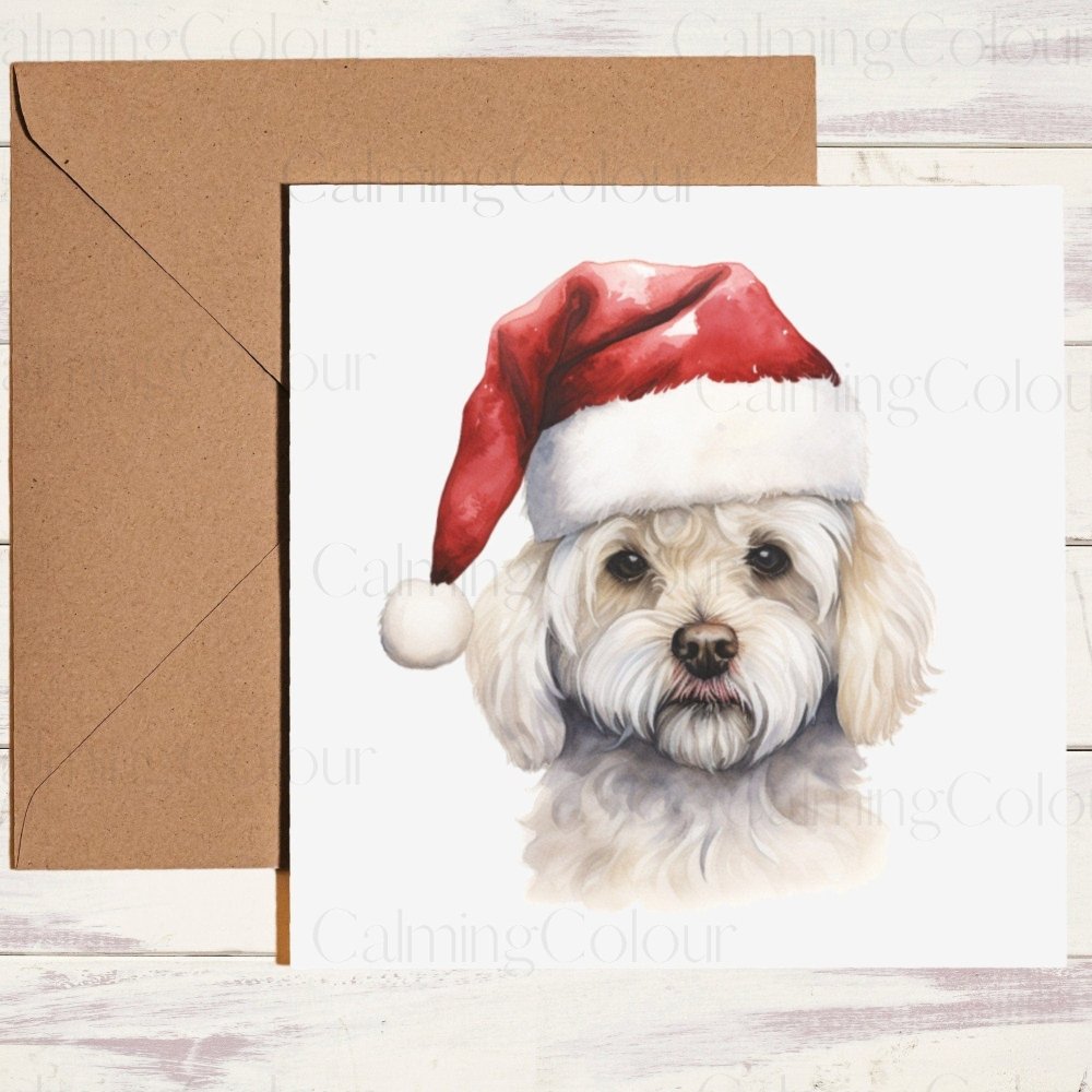 Bichon Frise wearing Red Santa Hat | Christmas Card | Calming Colour