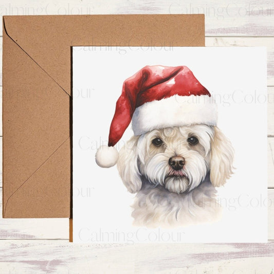 Bichon Frise wearing Red Santa Hat | Christmas Card | Christmas Card