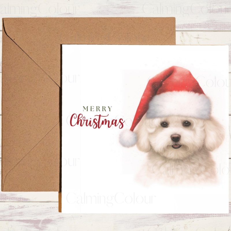 Bichon Frise with Santa Hat |Christmas Card | Christmas Card