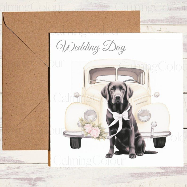 Black Labrador in Front of Wedding Car | Wedding Card | Calming Colour