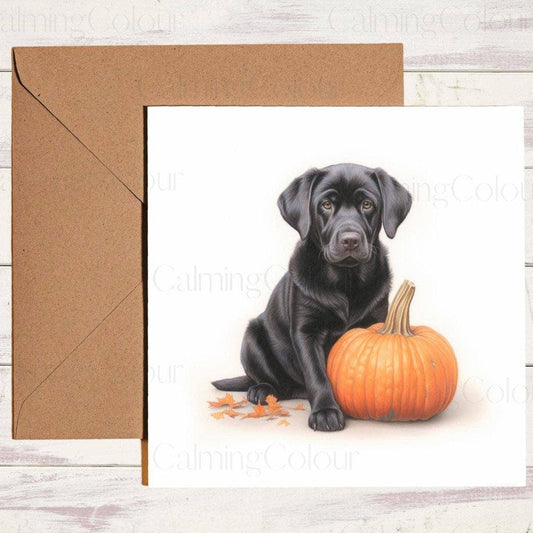 Black Labrador with a Pumpkin | Birthday Card | Halloween | Birthday Card