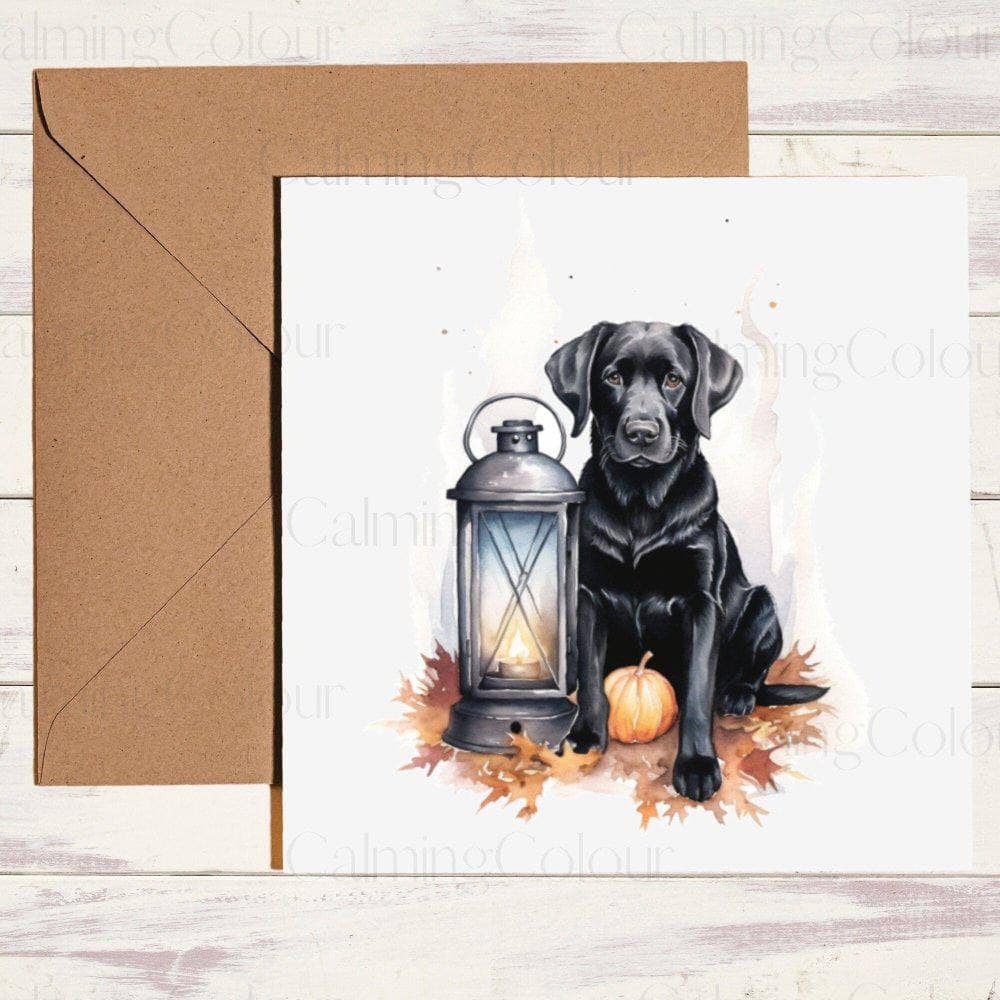 Black Labrador with Pumpkin | Halloween | Autumn | Calming Colour