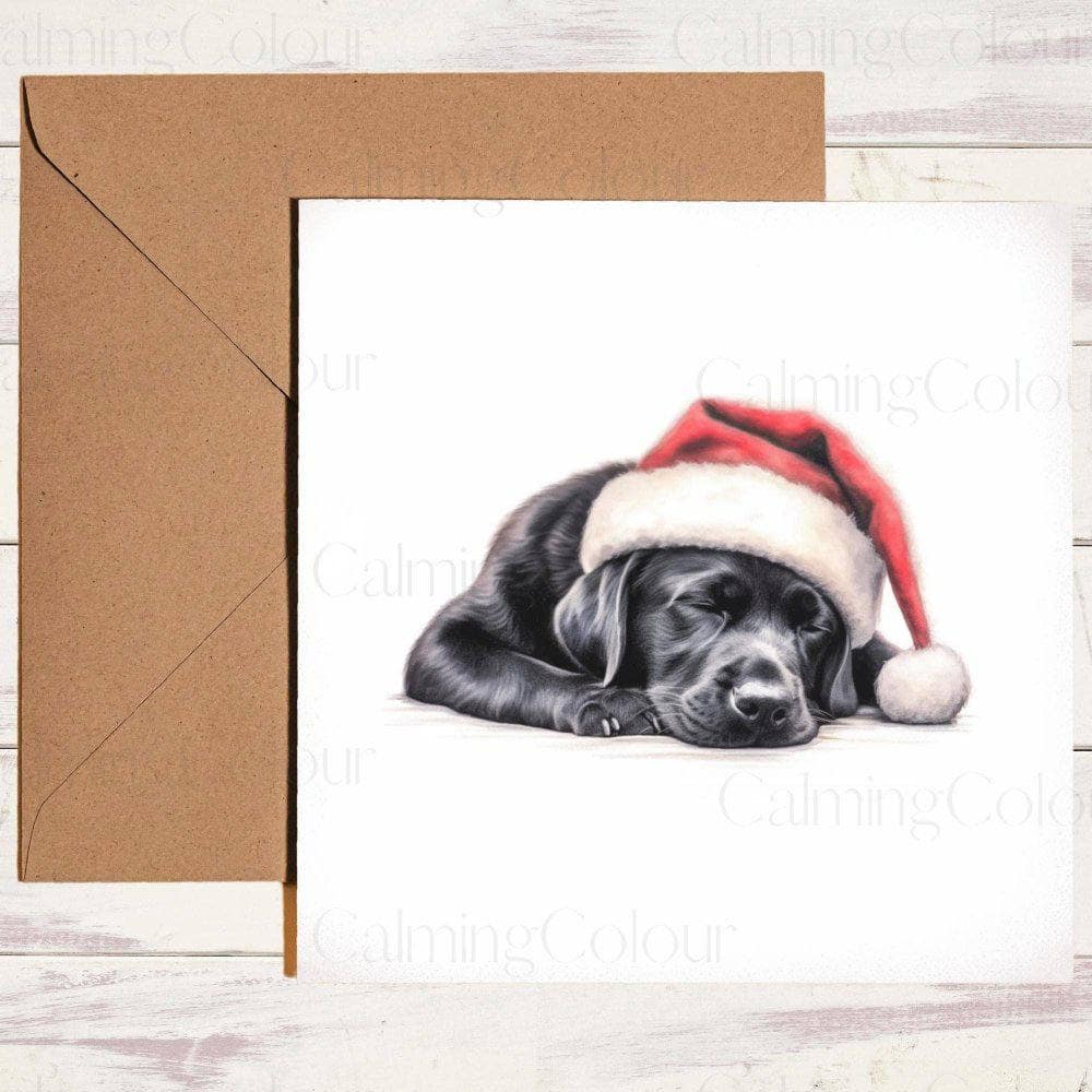 Black Labrador with Red Santa Hat Sleeping at Christmas | Christmas Card