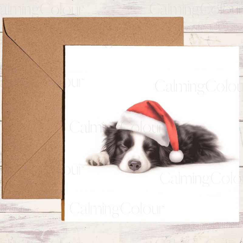 Border Collie Asleep in Santa Hat | Christmas Card | Christmas Card