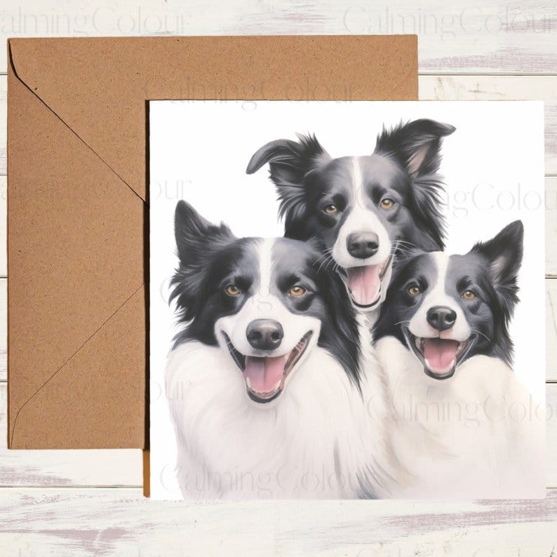 Border Collie Father's Day Card | Single Card | Calming Colour