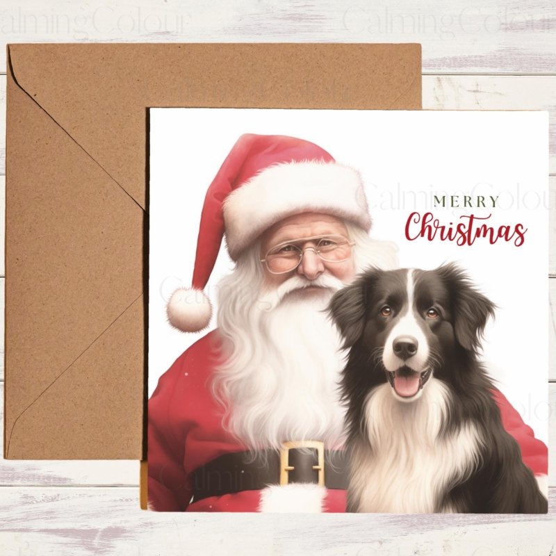 Border Collie sat with Santa | Christmas Card | Christmas Card