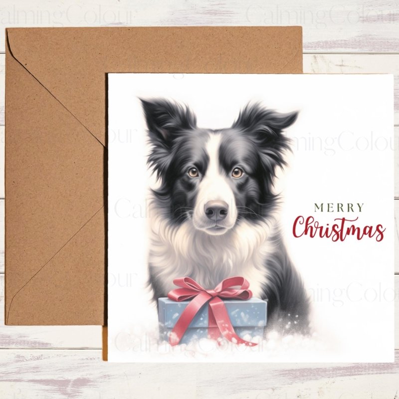 Border Collie Watching Over Gift | Christmas Card | Christmas Card