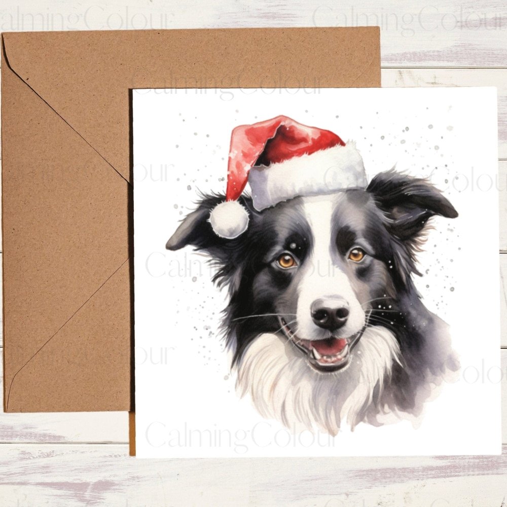 Border Collie wearing Red Santa Hat | Christmas Card | Calming Colour