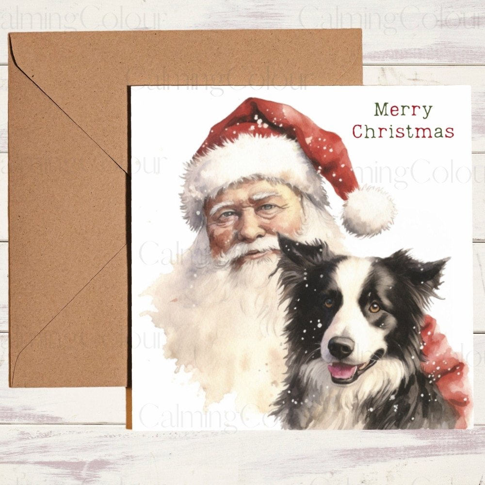 Border Collie with Santa | Christmas Card | Calming Colour