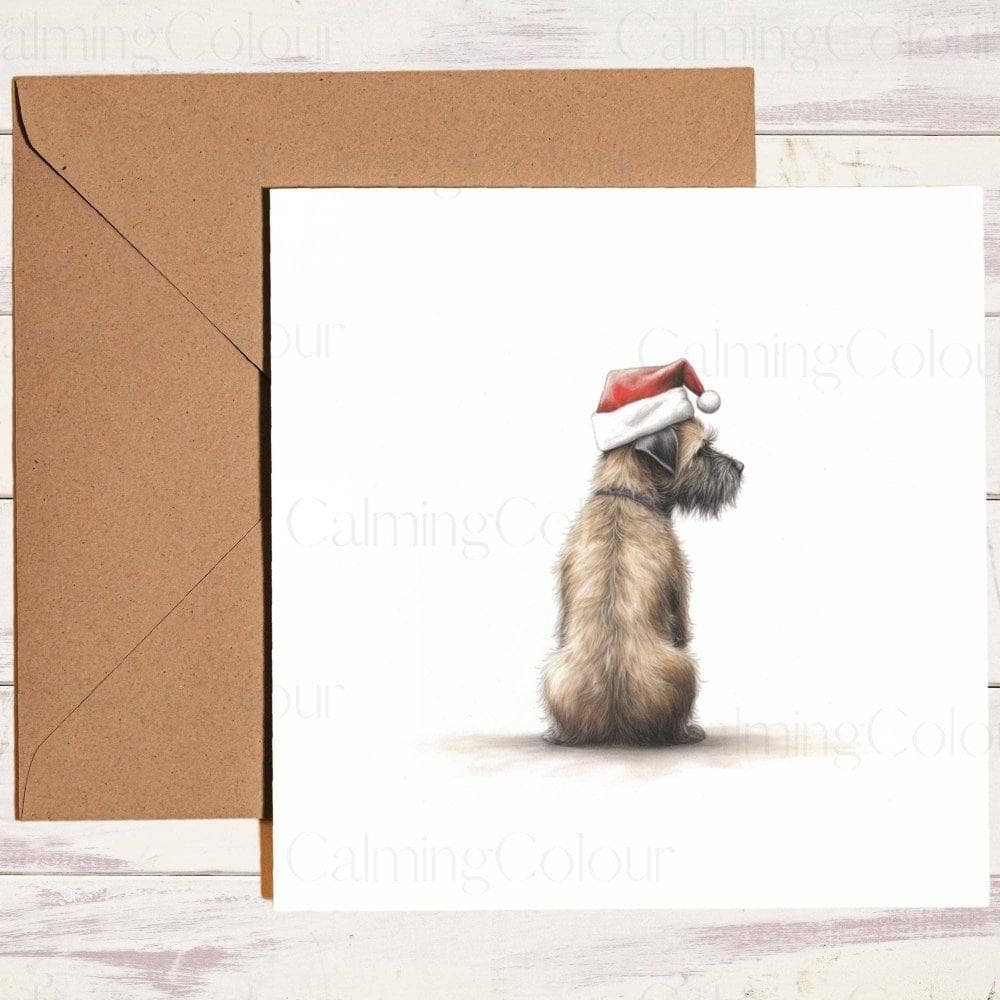 Border Terrier wearing Red Santa Hat | Christmas Card | Christmas Card