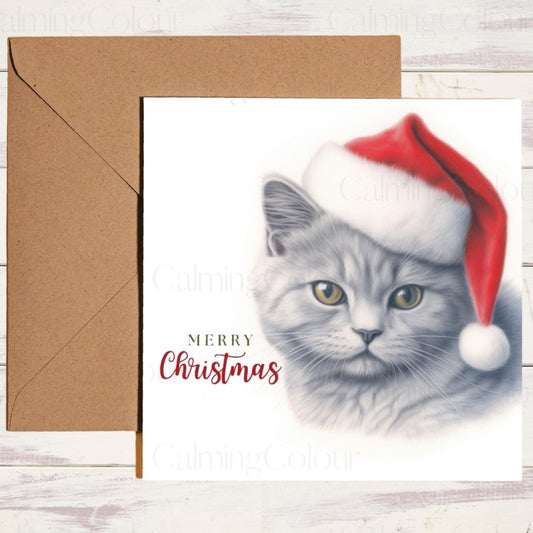 British Shorthair Cat in Santa Hat | Christmas Card | Christmas Card