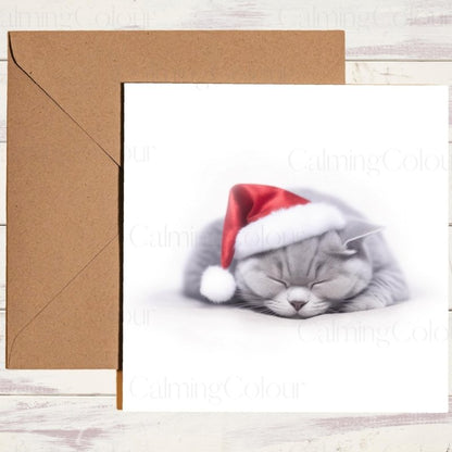 British Shorthair Cat Sleeping in Santa Hat | Christmas Card | Christmas Card