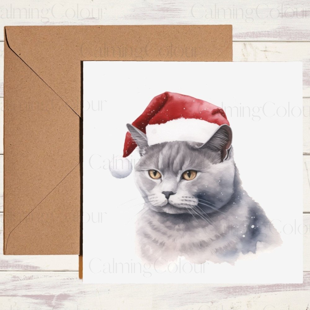 British Shorthair Cat wearing Red Santa Hat | Christmas Card | Calming Colour