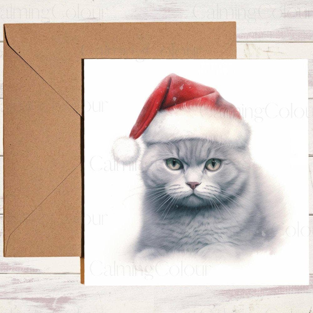 British Shorthair wearing Red Santa Hat | Christmas Card | Christmas Card