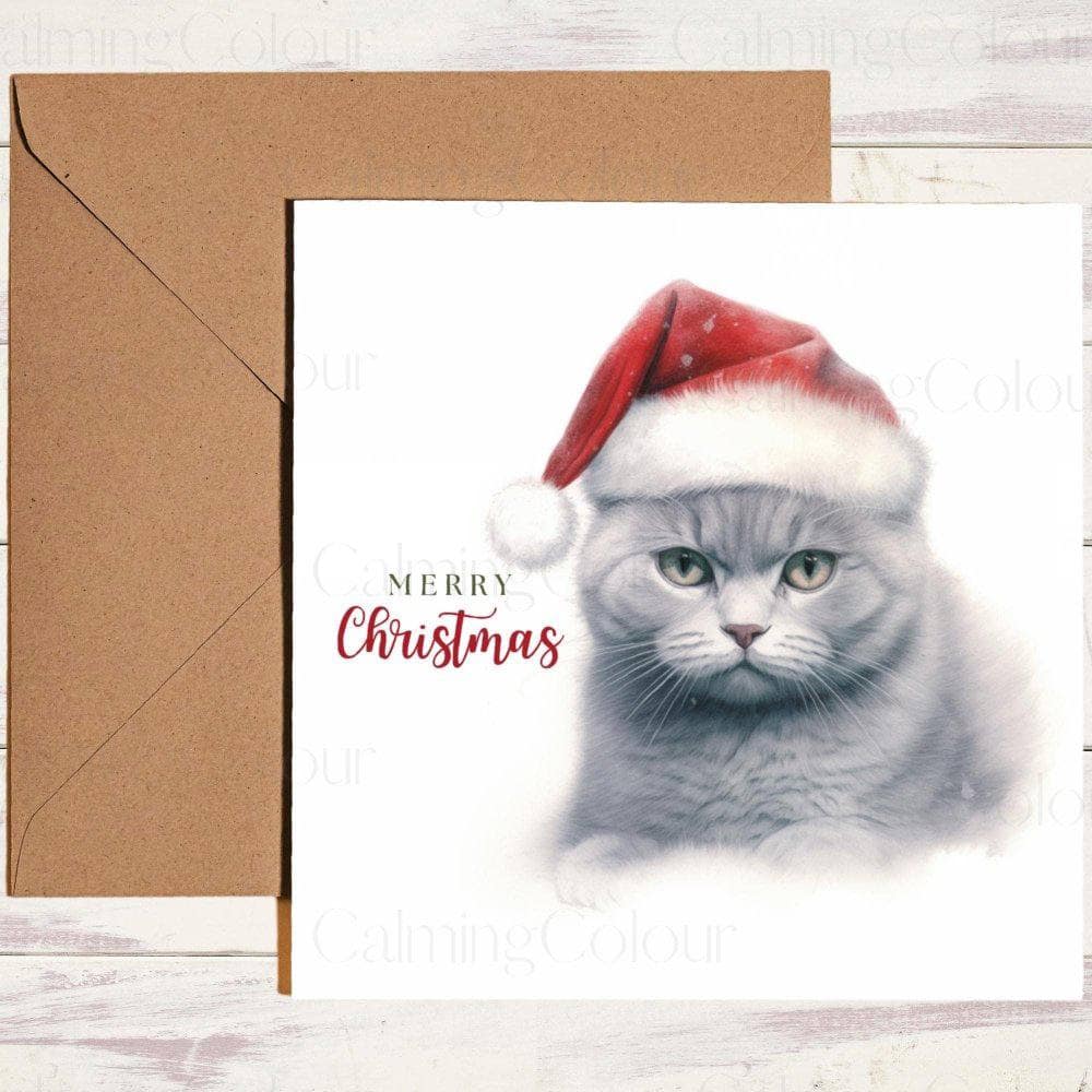 British Shorthair wearing Red Santa Hat | Christmas Card | Christmas Card