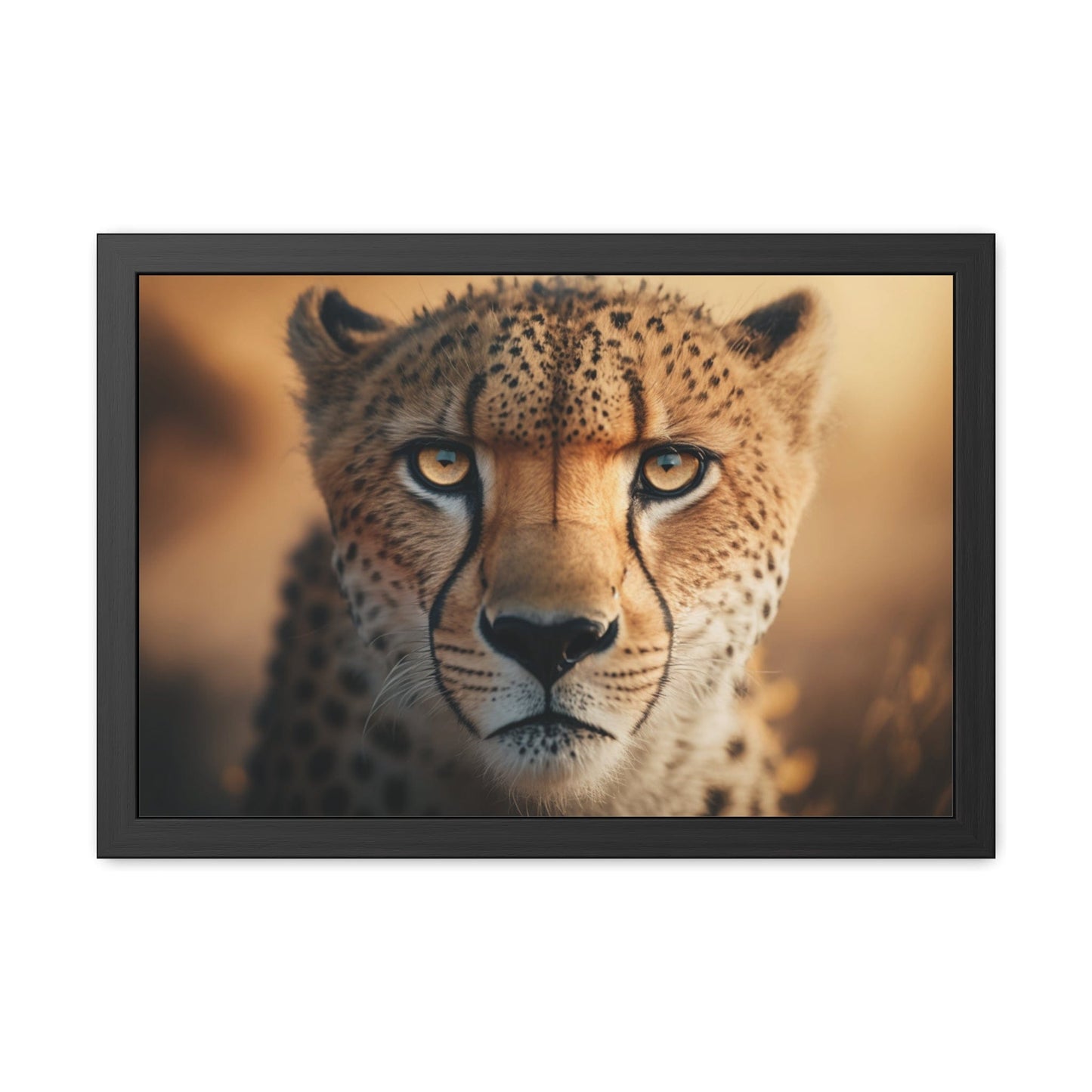 Cheetah - FRAMED Print "Whispers of the Savannah: Cheetah's Gaze" | Calming Colour