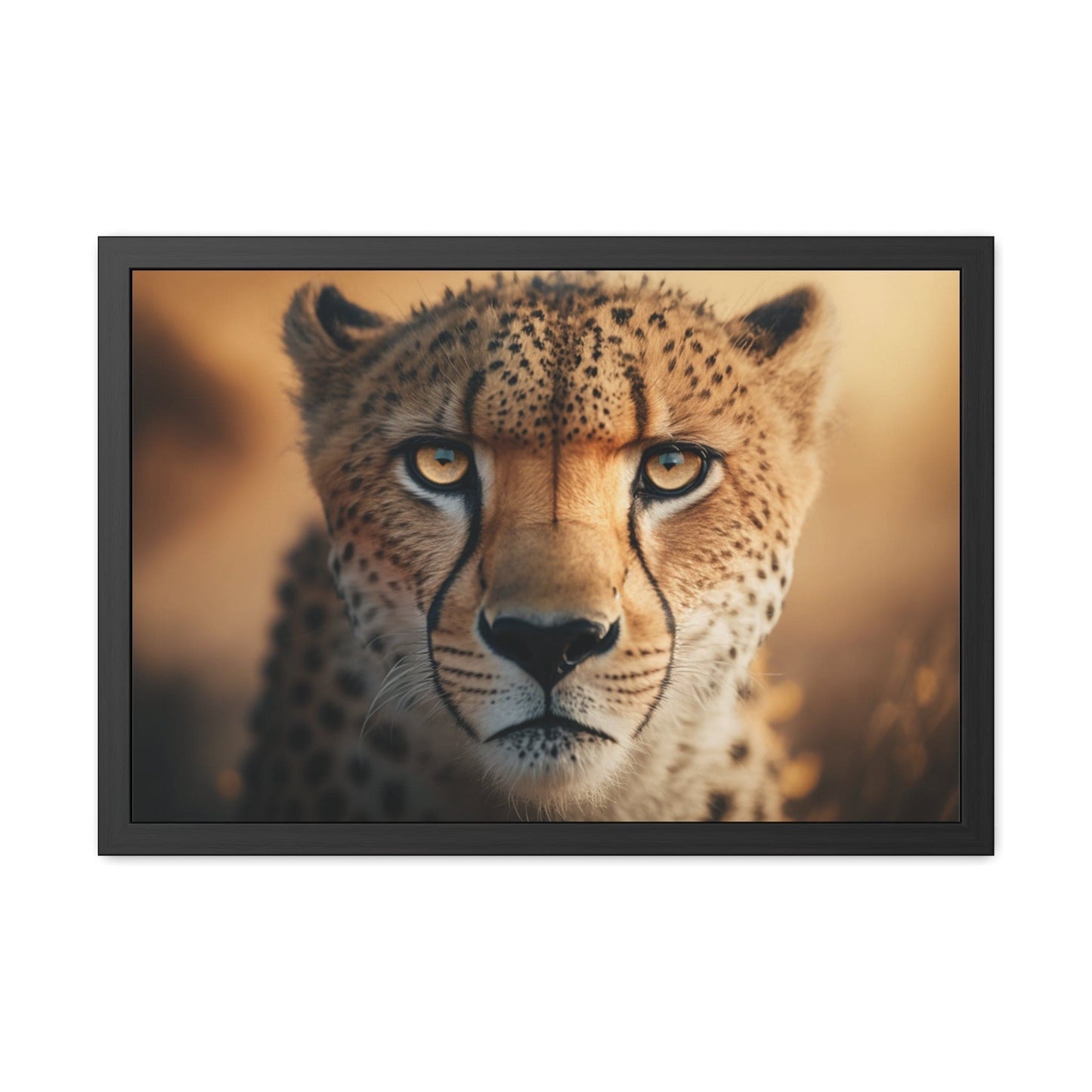 Cheetah - FRAMED Print "Whispers of the Savannah: Cheetah's Gaze" | Calming Colour