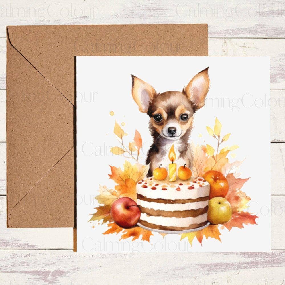 Chihuahua with Birthday Cake | Halloween | Calming Colour