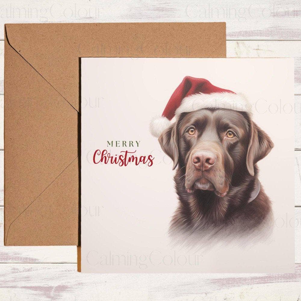 Chocolate Labrador wearing Red Santa Hat | Christmas Card | Christmas Card