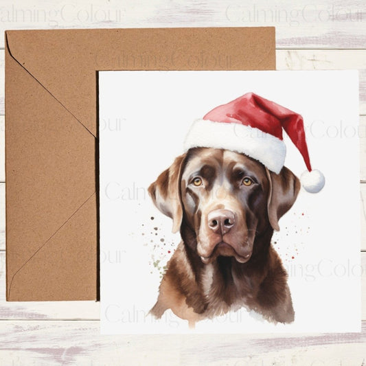 Chocolate Labrador with a Red Santa Hat | Christmas Card | Christmas Card