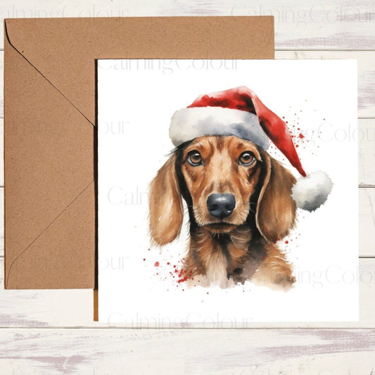 Dachshund wearing Red Santa Hat | Christmas Card | Calming Colour