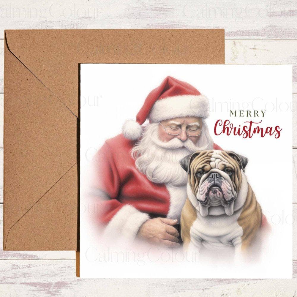 English Bulldog sat with Father Christmas | Christmas Card | Christmas Card