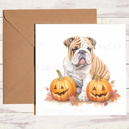 English Bulldog with 2 Smiling Pumpkins | Birthday Card | Halloween | Birthday Card