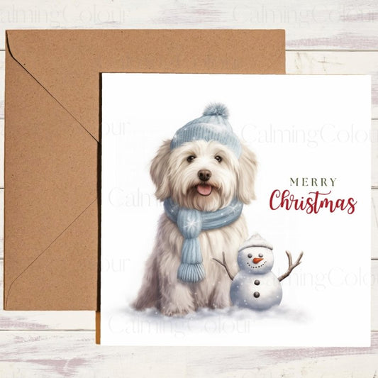Havanese Sat by Little Snowman | Christmas Card | Christmas Card