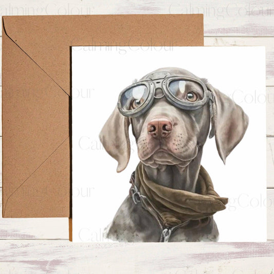 Weimaraner wearing Goggles | Birthday Card