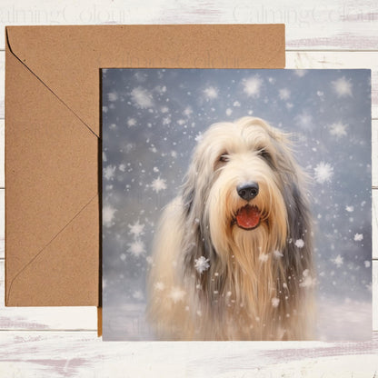 5.5-inch square Christmas card:  Bearded Collie in the snow. Glossy coating, 280gsm cardstock for sturdiness, eco-friendly packaging, Kraft brown envelope. Inside: blank canvas for personal message.