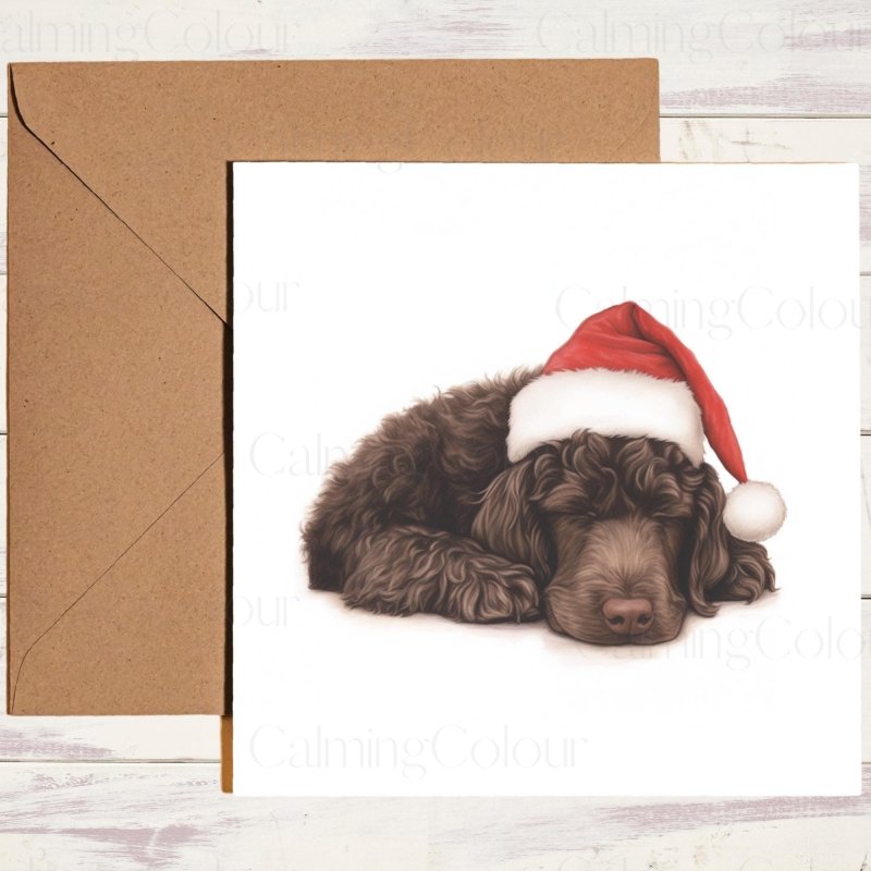 Irish Water Spaniel Asleep in Santa Hat | Christmas Card | Christmas Card