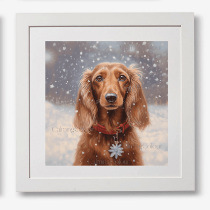 Long - haired Dachshund in the Snow | Framed Art Print | Calming Colour