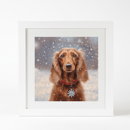 Long - haired Dachshund in the Snow | Framed Art Print | Calming Colour