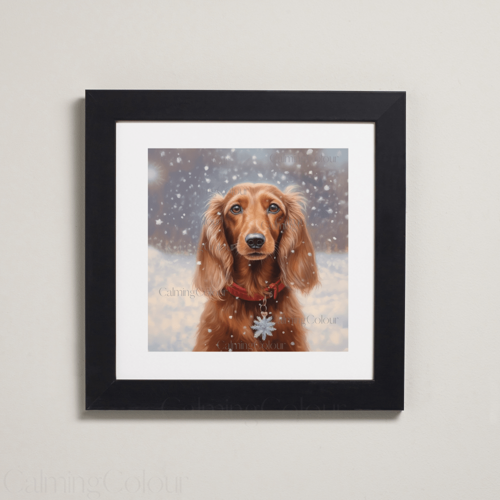 Long - haired Dachshund in the Snow | Framed Art Print | Calming Colour