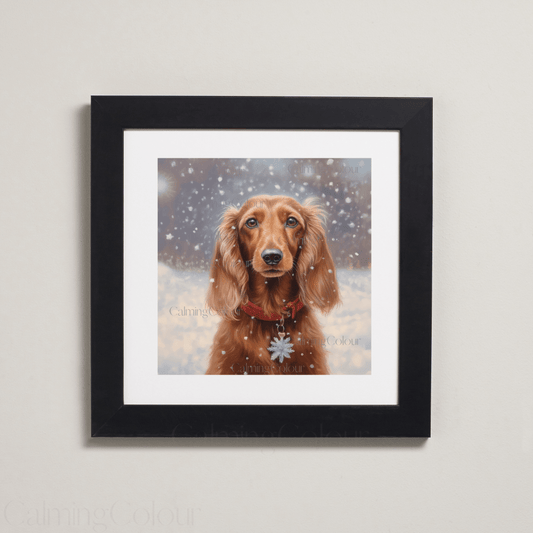 Long - haired Dachshund in the Snow | Framed Art Print | Artwork - Framed Print