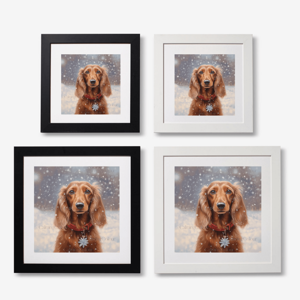 Long - haired Dachshund in the Snow | Framed Art Print | Calming Colour